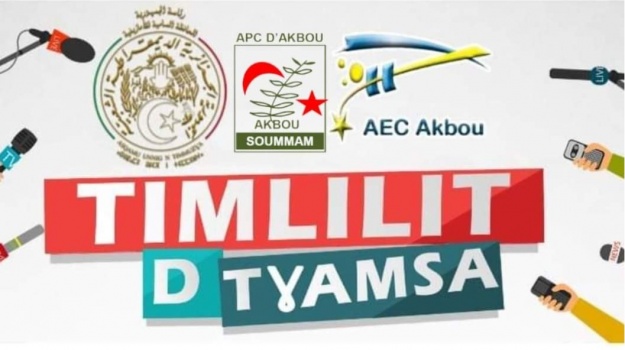 Taaska taɣelnawt n tmedyezt tamaziɣt